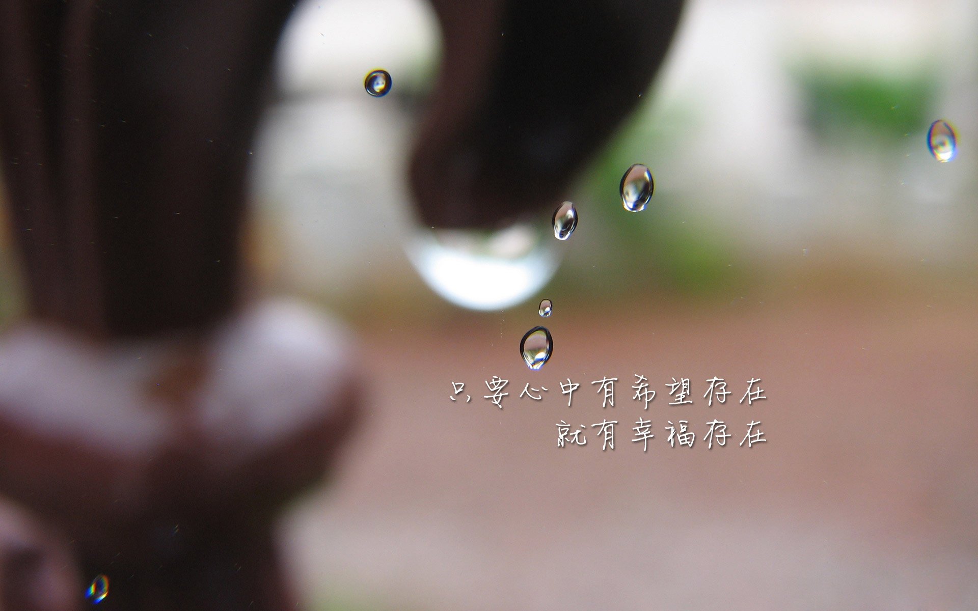 有机蔬菜怎样种植(有机蔬菜怎么种植技术视频)
